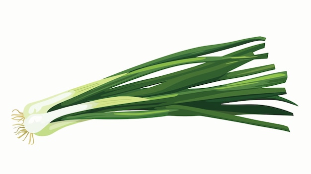 Green Onion Abstract Hand Drawn Flat Icon Vector Illustration