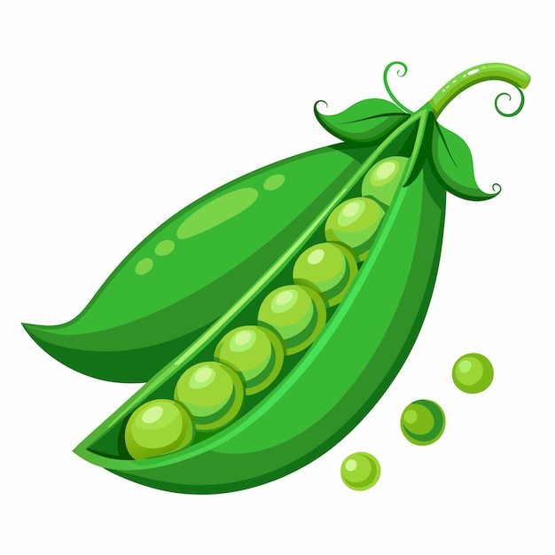 a green pea pod with seeds on it and a green seed on the side