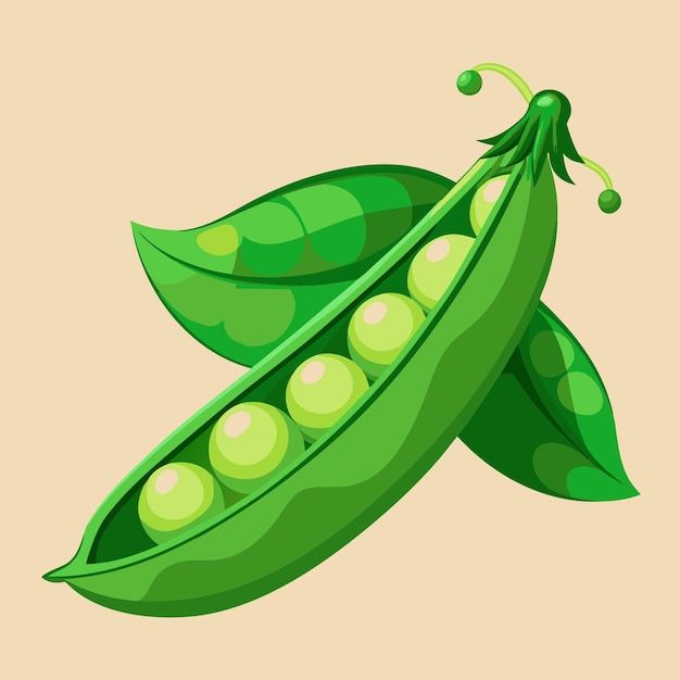 Green Peas Nutritious Sweet and Versatile