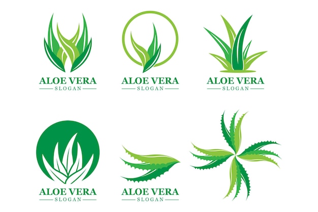 Green plant aloe vera logo vector icon symbol many benefits