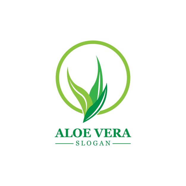 Green plant aloe vera logo vector icon symbol many benefits