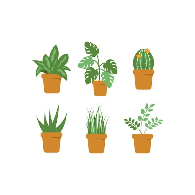 Green plant pot vector isolated illustration