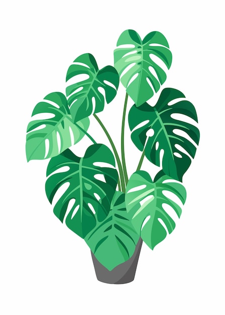 Vector a green plant with a green leaf that says quot natural quot