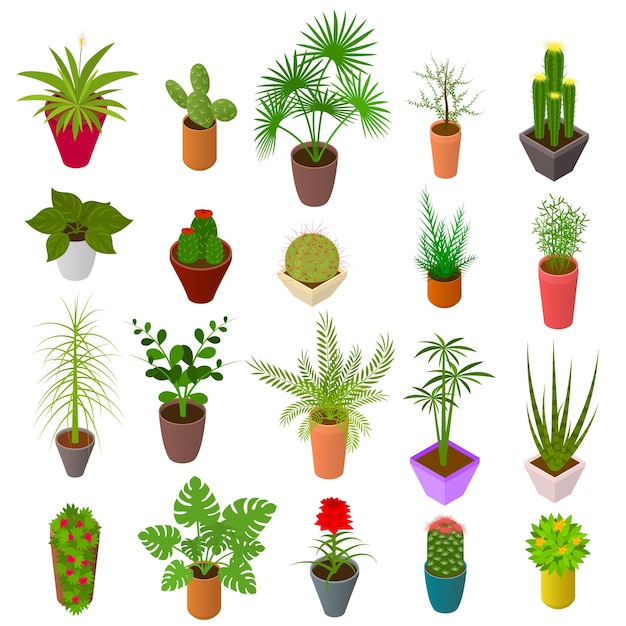 Green Plants in Pot Set Icons 3d Isometric View Vector