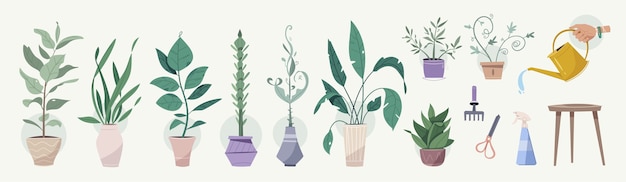 Green plants in pots, gardening tools set isolated objects. Potting trees, watering can, clippers, rake, spray gun