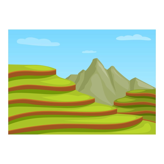 Vector green rice terraces forming steps cultivated on mountain slopes