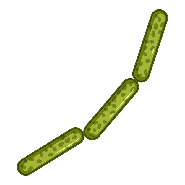 Green rod shaped virus icon Isometric 3d illustration of rod shaped virus vector icon for web