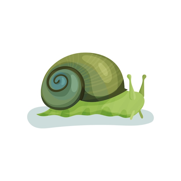 Green snail gastropod mollusk with green shell vector Illustration on a white background