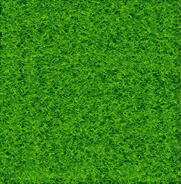 Vector green soccer grass field 