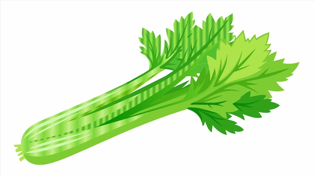 Vector a green sprig of parsley is shown on a white background