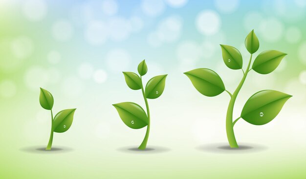 Vector green sprout set with water drop nature background