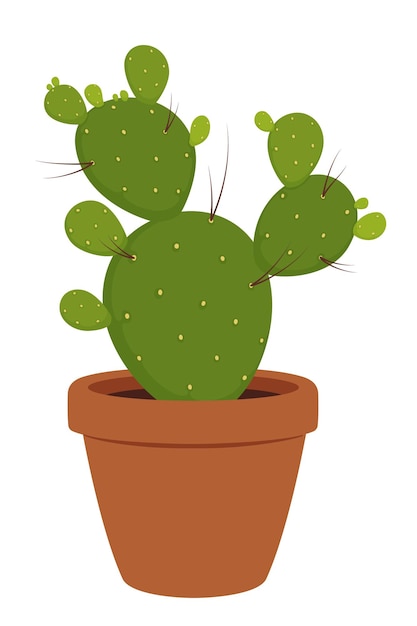 Green succulent opuntia plant in ceramic pot Isolated vector engelmann prickly pear nopal paddle bunny ear or polka dot Beavertail santa rita indian fig cholla cow tongue diamond cholla