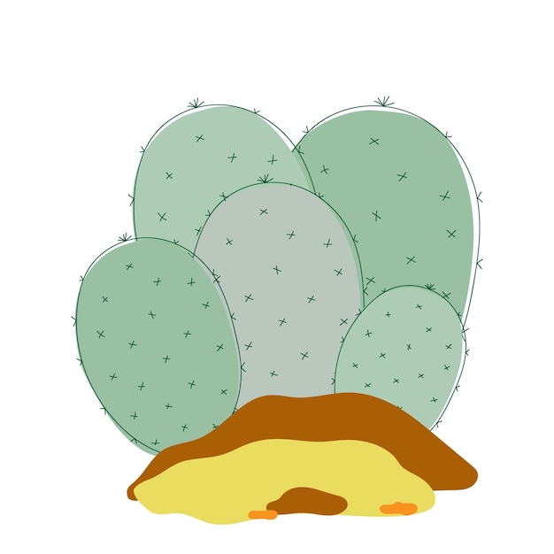 Green succulent opuntia on a white background Vector cactus prickly pear drawn with simple lines