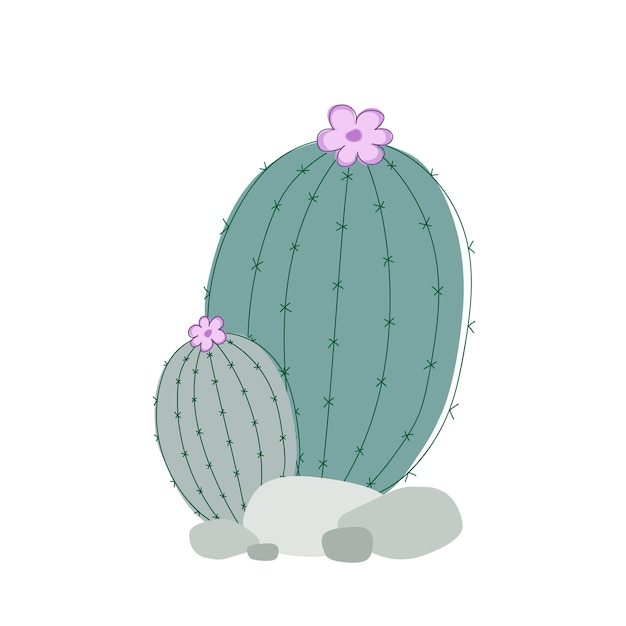 Green succulent with pink flower in gray stones on a white Vector cactus drawn with simple lines