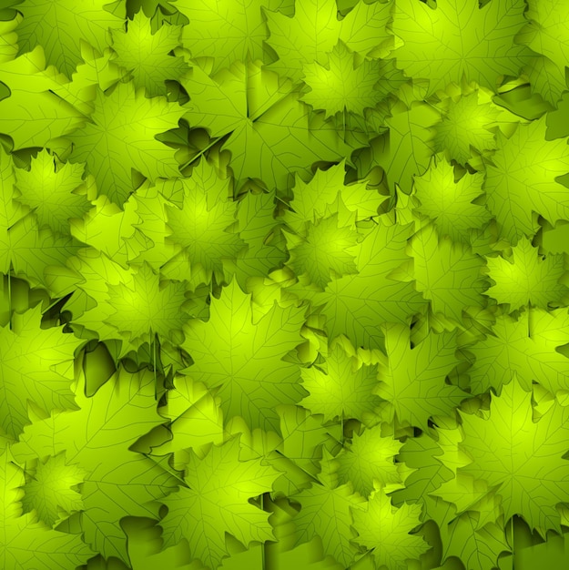 Green summer leaves vector texture