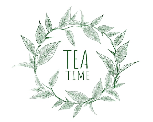 Green tea background Hand drawn Vector