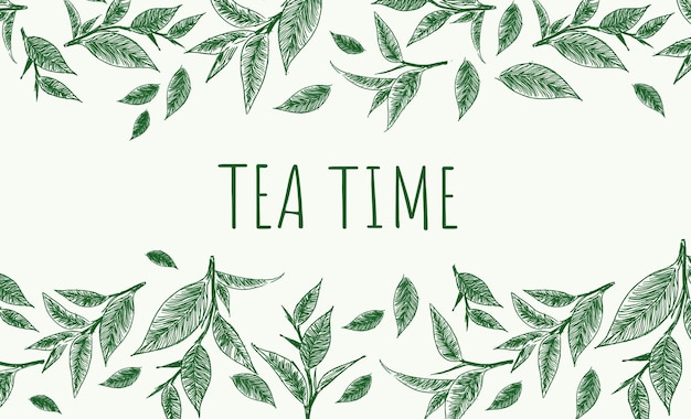 Green tea Hand drawn illustrations