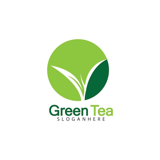 Green tea leaf logo vector icon illustration design isolated on white background-vector image