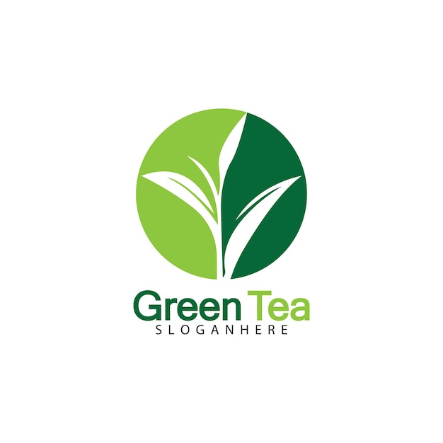 Green tea leaf logo vector icon illustration design isolated on white background-vector image