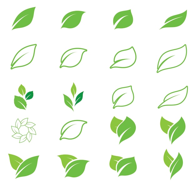 Green tea leaf vector logo template