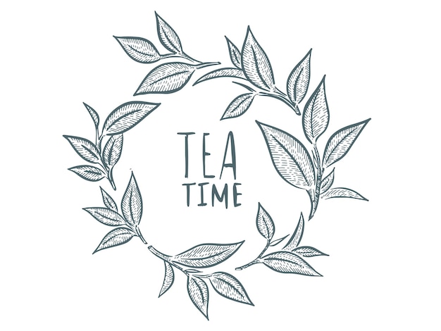 Green tea leaves Hand drawn vector