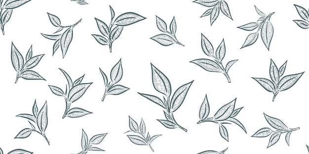 Green tea leaves Hand drawn vector