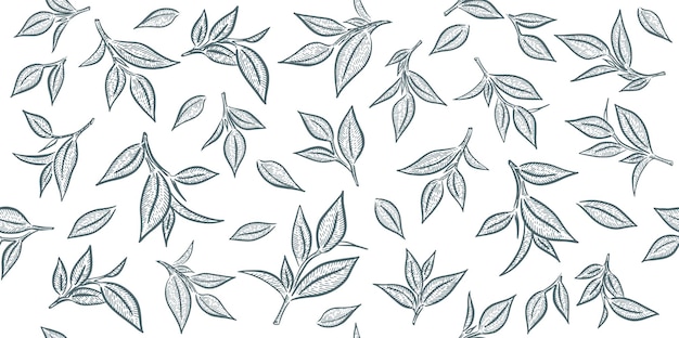 Green tea leaves Hand drawn vector