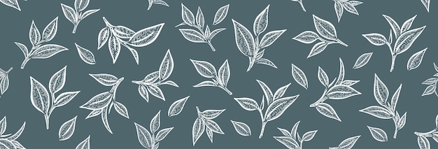 Green tea leaves Hand drawn vector