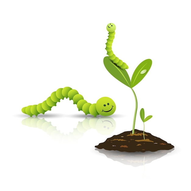 Green tea worm and small tree with soil isolated on white background vector illustration