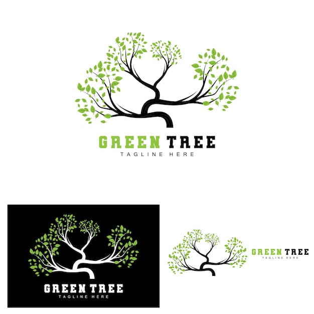 Green Tree Logo Design Bonsai Tree Logo Illustration Leaf And Wood Vector