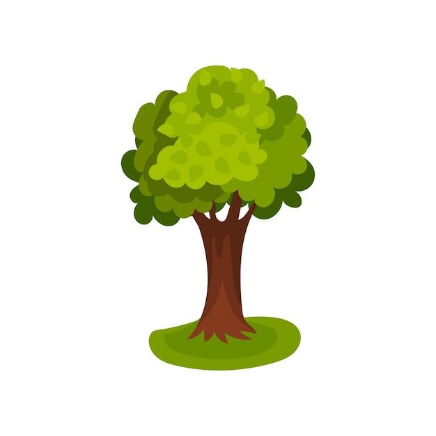 Green tree with round crown vector Illustration isolated on a white background