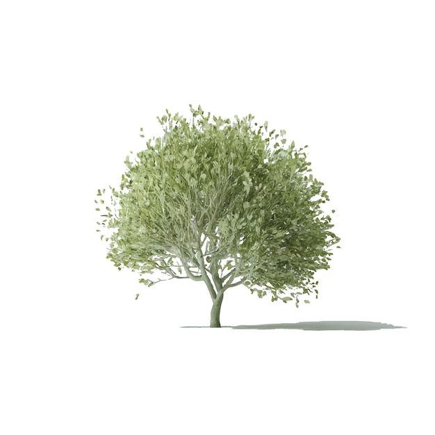 Vector a green tree with a white background