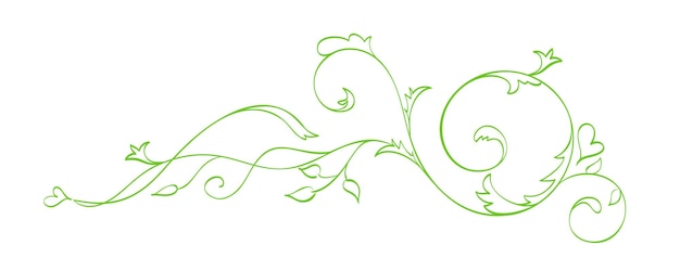 Green Vector Hand Drawn Calligraphic Separator Spring Flourish Design Element