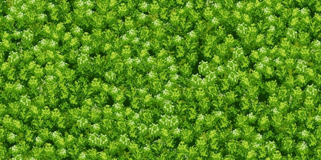 Green wall seamless pattern with moss texture