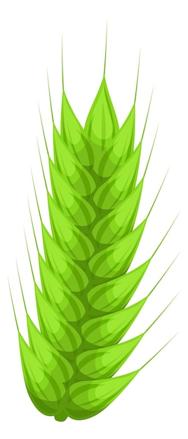 Green wheat ear Growing farm crop plant