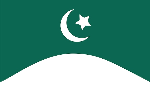 a green and white Pakistan flag background