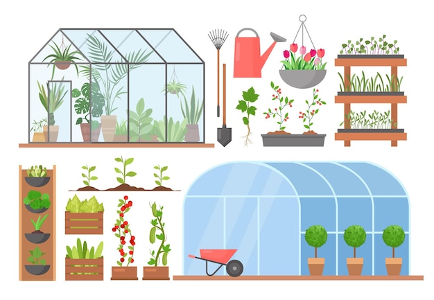 Greenhouse flower plant vegetable cultivation glasshouses for natural organic agricultural products