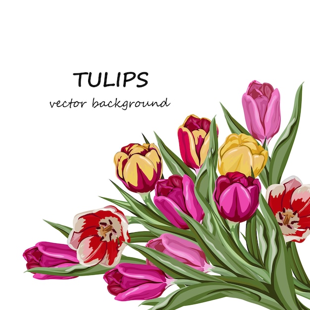 Greeting card or wedding invitation template with tulips vector illustration isolated