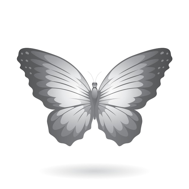 Grey Butterfly Illustration with Round Wings