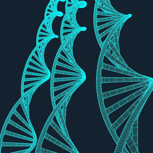 Grey DNA with polygon line on blue background Polygonal space low poly with connecting dots and lines Connection structure Vector science background