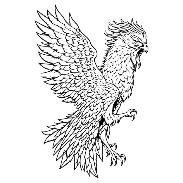 Griffin silhouette black outline vector Eagle black outline on white background