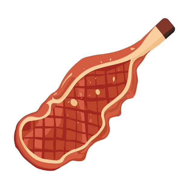 Vector grilled steak vector illustration on white background