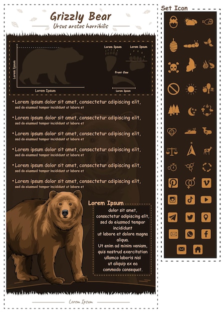 Grizzly Bear facts template