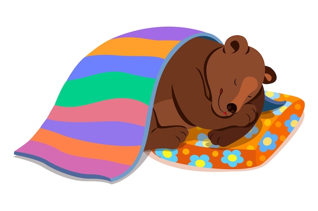 Grizzly bear sleeping on a colored pillow and under a blanket vector illustration isolated from the background Bear in hibernation