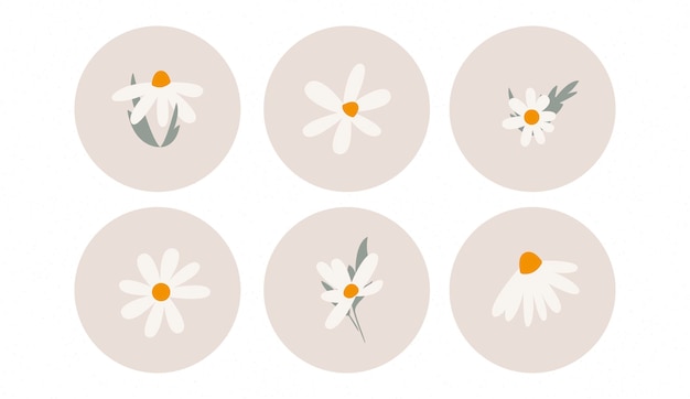 Groovy chamomile icons in Matisse style abstract flora Vector illustration Set of icons and emblems for social media news covers Design templates for yoga studio tourism beauty salons