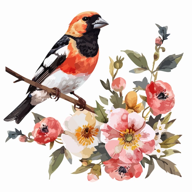 Vector grosbeak floral handdrawn watercolor illustration