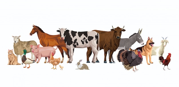 Group of animals farm characters