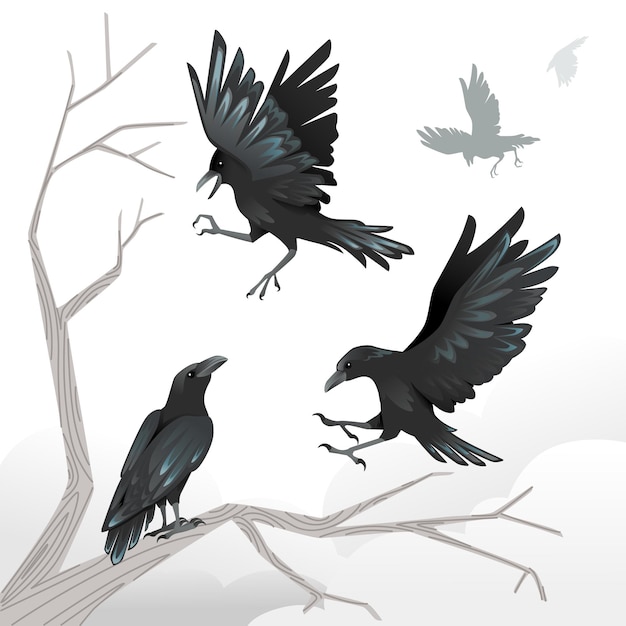 Group of black crows a dead tree branch advertising flyer design cartoon animal style flat vector illustration on white background