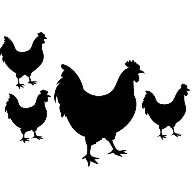 a group of chickens are shown in black and white