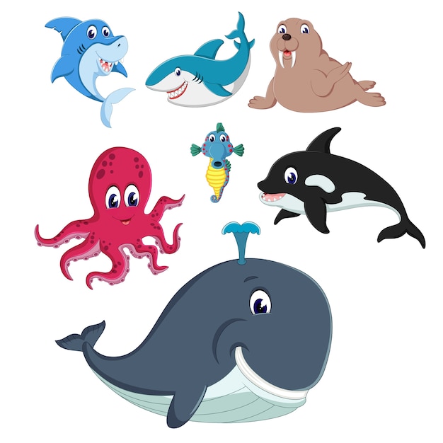 a group of sealife animal